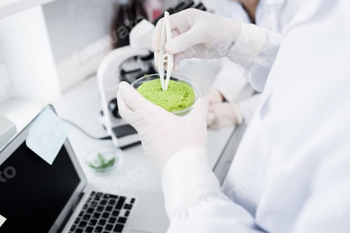 Preview: Scientist Studying Substances