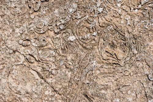 Preview: Old cement wall