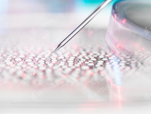 Preview: Stem cell research, nuclear transfer of embryonic stem cells used in cloning for medical research
