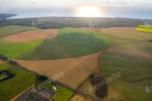 Preview: View from the height of the sown fields located on the island of Mauritius