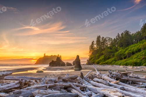 Preview: Olympic National Park, Washington, USA