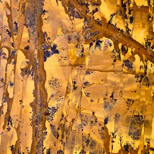 Preview: Abstract Yellow Rock Surface with Dark Markings