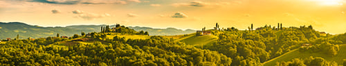Preview: Austria Vineyards Sulztal weinstrasse south Styria tourist spot, wine country