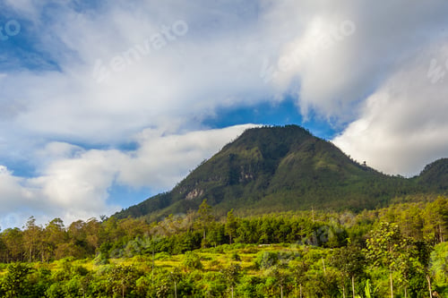 Preview: Beautiful Mountain at Daylight