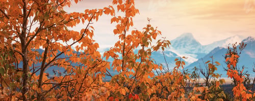 Preview: Autumn in Alaska