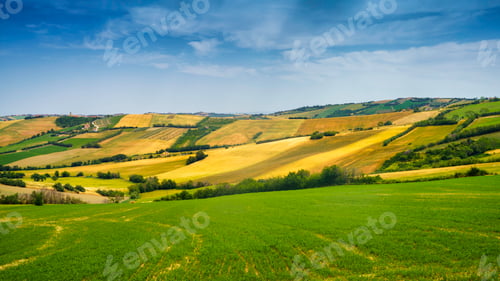 Preview: Rural landscape along the road from Fano to Mondavio, Marche
