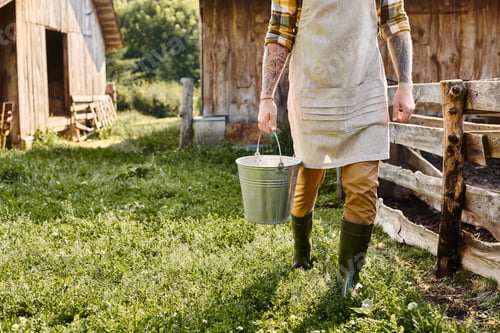 Preview: cropped view of adult dedicated man with tattoos on arms holding bucket with milk while on farm