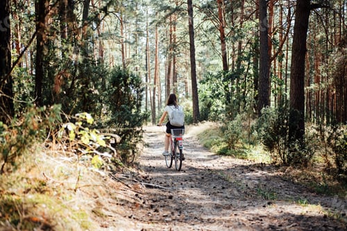 Preview: Bicycle Tourism. Road Biking Trails. Bicycles for rent. Single woman riding bike in pine forest in
