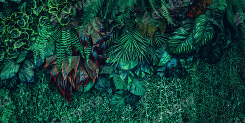 Preview: Close up group of background tropical green leaves texture and abstract background.