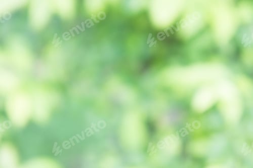 Preview: Texture blur nature green color background