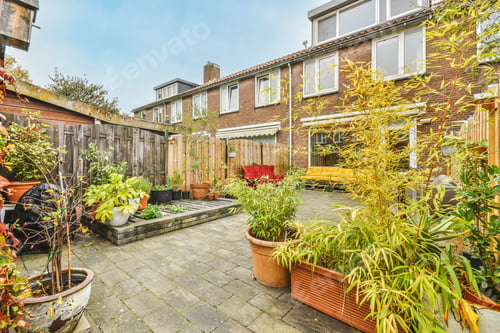 Preview: Cozy courtyard of a house with a bright scarlet velvet sofa