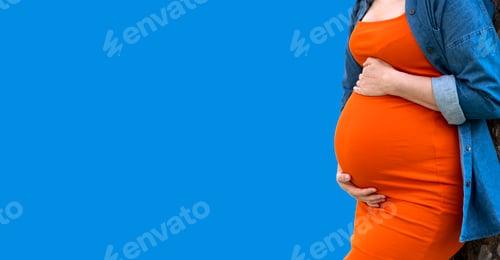 Preview: Pregnant woman in orange dress and jeans shirt hold her big tummy with hands on blue background.