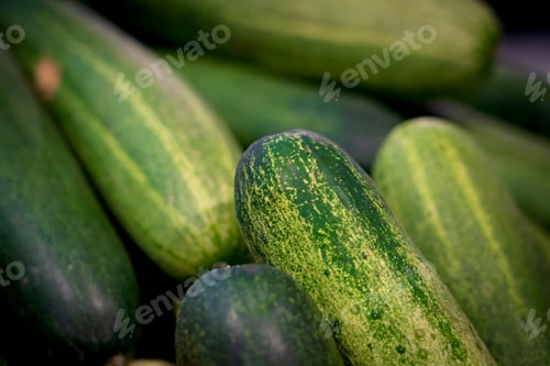 Preview: Fresh Green Cucumbers Arranged in a Market Stall