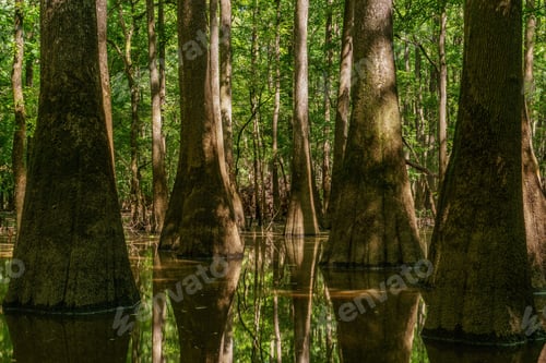 Preview: National Park