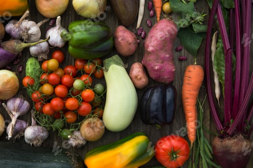 Preview: Fresh Organic Vegetables