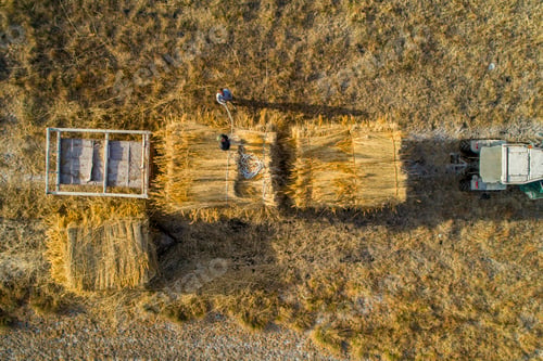 Preview: Harvesting Straw Bales with Tractor on Rural Farm