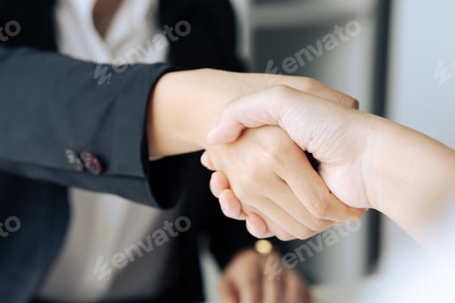 Preview: Two professional businesswoman executive leaders shaking hands at office meeting