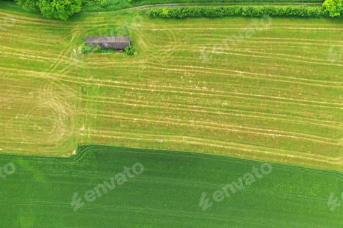 Preview: Splendid aerial photography of green wavy field in sunny day. Top view drone shot.