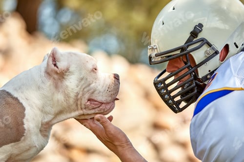 Preview: American football player with a dog posing on camera in a park. Copy space, sports banner. Concept
