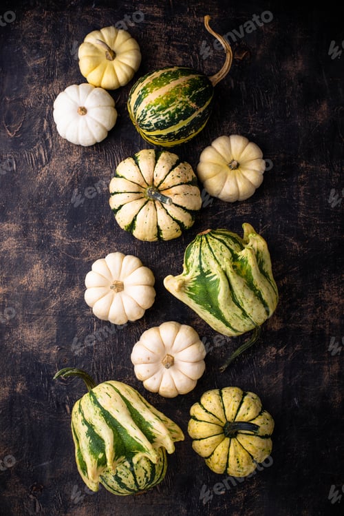 Preview: Autumn fall background with pumpkins