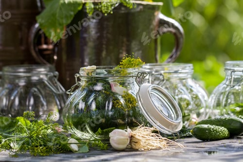 Preview: Fresh pickling cucumbers in the countryside