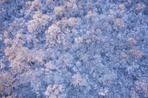 Preview: Aerial drone top down fly over winter forest