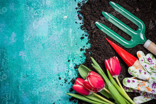 Preview: Springtime gardening works tools background