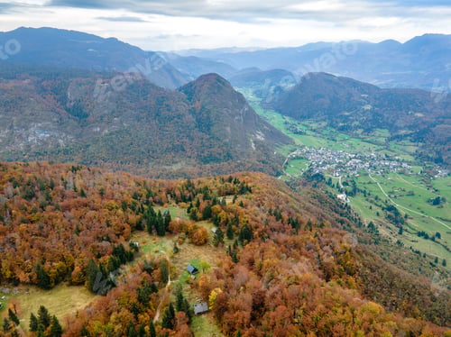 Preview: Forest close to Bohinj lake, Slovenia