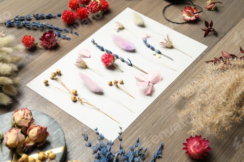 Preview: Composition with beautiful dry flowers on wooden background