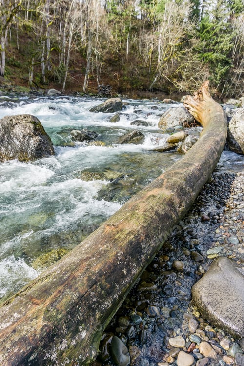 Preview: A View Of Rapid On The Green River In Washington State.