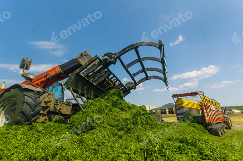 Preview: tractor harvesting hay for animals, tractor harvesting green grass for feed, agribusiness concept