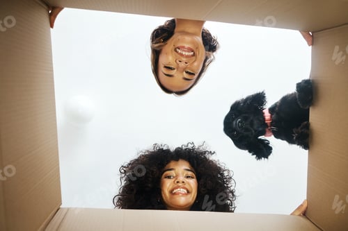 Preview: Portrait, happy and lesbian couple with a dog and box for moving, unpacking or a new house. Low, ho