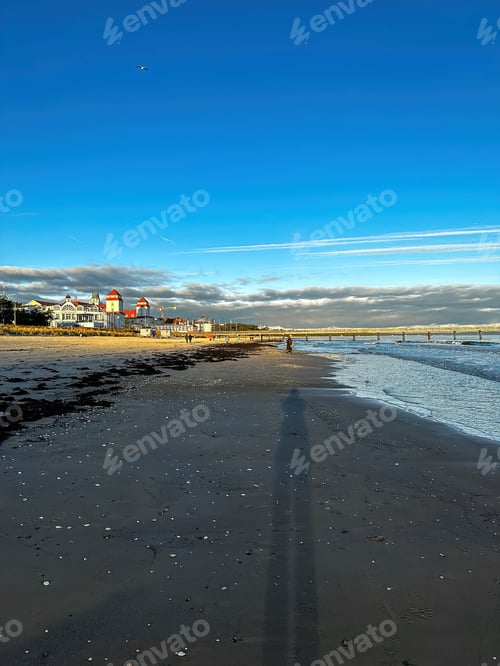 Preview: Sea coast with seashells and texture waves, sea lanscape.