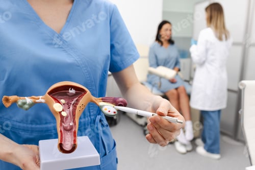 Preview: Gynecologist showing anatomical model uterine over gynecological exam of woman patient with doctor.