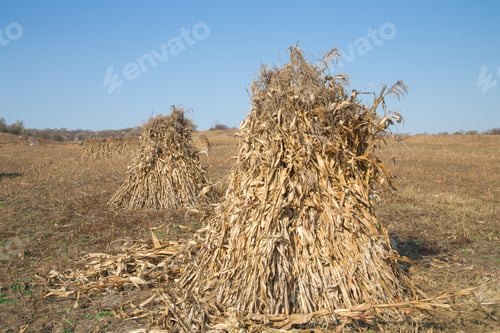 Preview: Close up of haystack on autumn field.