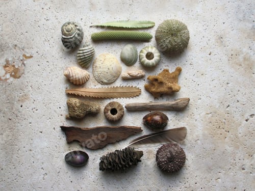 Preview: beach art made with nature found at beach