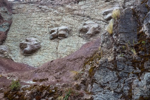 Preview: Dinosaur footprints