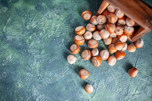 Preview: top view fresh hazelnuts on dark-blue background shell nut photo walnut peanut color snack cips
