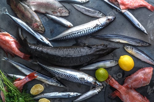 Preview: Assortment of fresh fish on dark background, top view