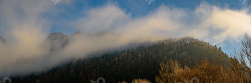 Preview: Beautiful morning autumn, winter hills with forest and haze panorama