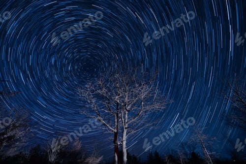 Preview: Wonderful star trail blue night sky with leafless trees in front, a time-lapse shot