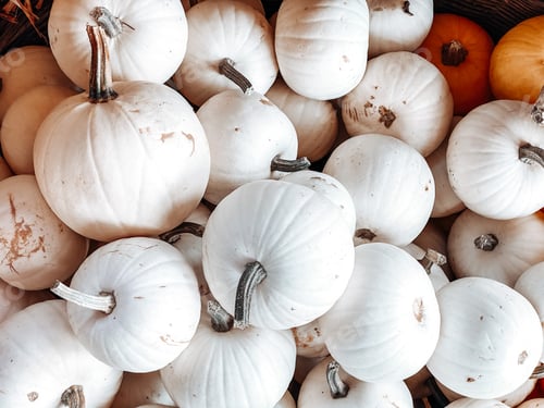 Preview: Pumpkins