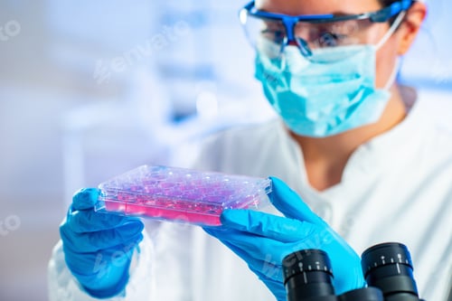 Preview: Stem cell researcher working in laboratory