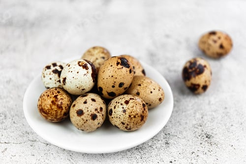 Preview: Speckled Quail Eggs on White Plate, Close Up