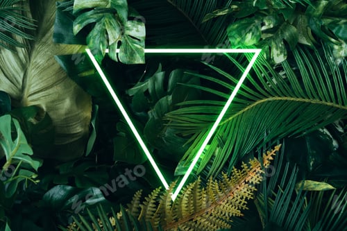 Preview: Tropical Leaves Glowing Behind Geometric Neon Triangle