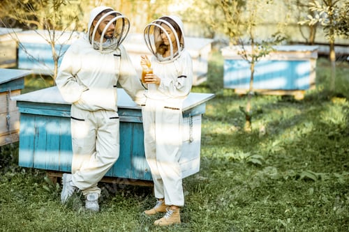 Preview: Beekeepers on the apiary