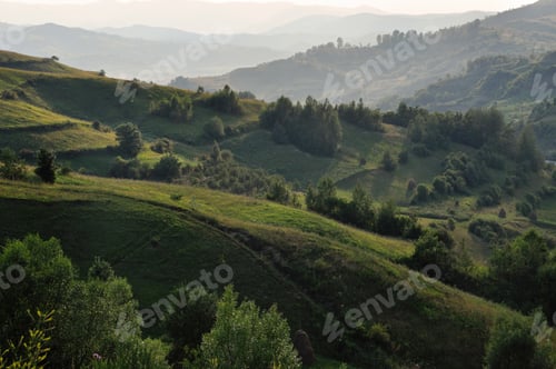 Preview: Vibrant Green Summer Hills
