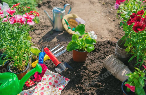 Preview: A little girl is planting flowers. The young gardener. Selective focus.