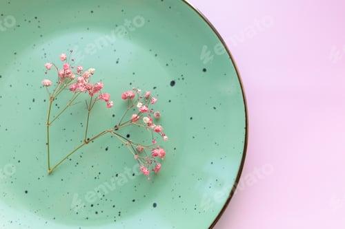 Preview: Light green ceramic plate with cute dried flowers on light pink pastel background. Top view