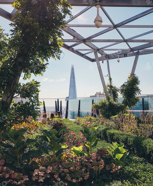 Preview: Roof top garden with a view on the Shard